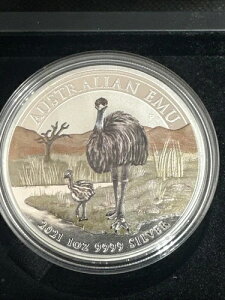 2021N I[XgA { }l[ GLX| ANDA XyV EMU 1IX Vo[J[RC 1h