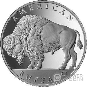 �A�����J���o�b�t�@���[ 1�I���X ��� 1000�T�g�V �č��Í��ʉ� 2025