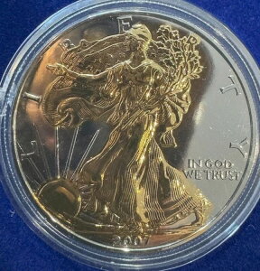 2007N AJC[O fBoeB 1IX .999 Vo[RCi24bLj