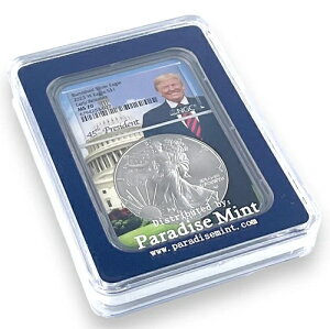 2023N W o[jbVh Vo[ C[O NGC MS70 - ER - gv RA u[P[Xt - POP 100