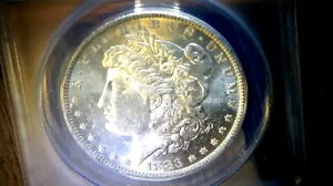 1883 0-MS 62- VAM 17-�z���C�g�~���[-1244