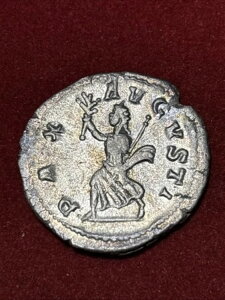 �S���f�B�A�k�X3����� �A���g�j�j�A�k�X ���[�}������ �Ñネ�[�}�R�C�� 238-244�N �p�b�N�X�A�h�o���X