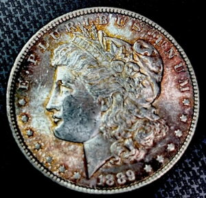 1889N K  - VAM o[EBO - gbv100