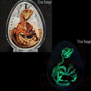 2019N nhTEX̛̗z 20h ÈłŌ鏃v[tRC