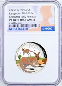 2025N J[ 1IX Vo[ JK[ 1hRC NGC PF70 ER x