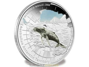 1 $ h 2008 UgENW Buckelwal I[XgA 1 E[ IX Vo[ PP
