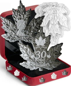 1988-2018 Vo[ [v[t^ 30NLO SML $20 1IX Vo[v[tRC Ji_