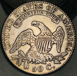 1829N LbvhoXg n[th 50Zg Ӓ `CX 90% CC24973