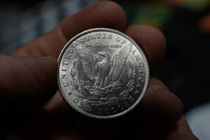 1889NčKh g[jO Ȑ_ AJ !!!!! C1204