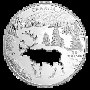 2017N 30h ؂蔲 Ebhh Ju[ Ju giJC Ji_ Vo[ v[t