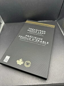 �M�d�ȃV���o�[���[�v�����[�t�Z�b�g .9999 - �G�t�B�W�[ 3 �R�C���Z�b�g 2022-2024