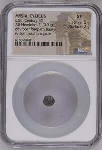 NGC �M���V����݃I�{���A�~���V�A�̃L���W�R�X�A���ƃ��C�I���A�I���O 5 ���I�A�O���[�h XF