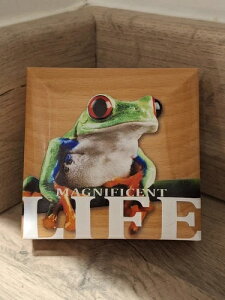 2018�N �}�O�j�t�B�Z���g ���C�t �N�b�N���� 5�h�� �A�}�K�G�� 1�I���X �v���[�t��݁B