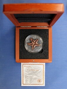 2019NjEG 2IX 2h݁u΂̐E - qgfvP[XAӒ菑t