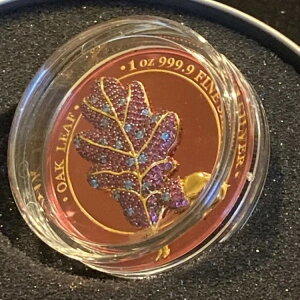 �Q���}�j�A �v���[�t ��Εt���I�[�N ���[�t �V���o�[ �R�C�� - 1 �I���X �����b�L - �킸�� 100 ���݂̂̒���!