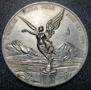 x^bh - 2IXA2gCIX̋݁A2000NALVRVeB