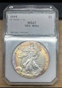 1999 PCI AJ Vo[ C[O 1 h - JtȃuYAC g[