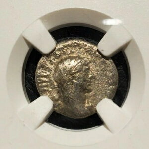 NGC�F��VG��݃w�~�h���N�}�n�h���A�k�X117-138�N�J�b�p�h�L�A�E�J�G�T���A