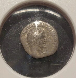 NGC�F��VG��݃w�~�h���N�}�n�h���A�k�X117-138�N�J�b�p�h�L�A�E�J�G�T���A