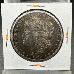 1878�NCC���[�K���V���o�[�C�[�O���h���R�C��VF���ɗǍD�ȗ��ʃg�[��