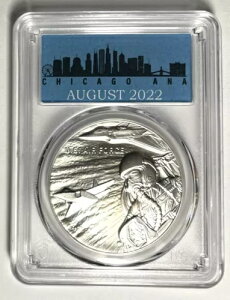2022 S Vo[_ 20 PCGS 1QZ GAtH[XO[fBO - VJS COA # SEI t