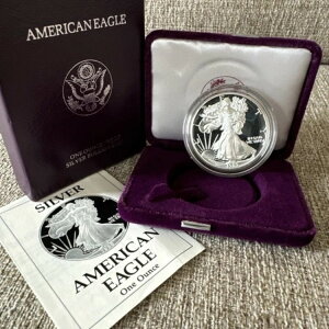 1989N  1IX Vo[C[Oh v[t čǔs iۏ؏Ɣt