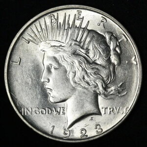 1923-D �s�[�X�V���o�[�_���[ BU *������* MS E392 DRCZT