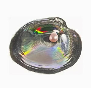 2013NpI̊C̔閧 - W^5h݃J[