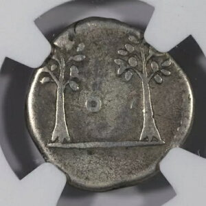 �E�F�X�p�V�A�k�X AR �f�i���E�X ���[�}�鍑 ��� COS V �c���[ 69-79 �N - NGC F