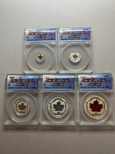 2015�N �J�i�_ �V���o�[���[�v�����[�t�Z�b�g ANACS RP70 DCAM �������[�X #367/786