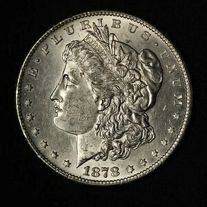 1878-S 1�h�������K����� 7/8���H�� ��v - �č���������