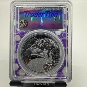 2024N Q}jA~g OiN XR[ 5}N t@^W[ GfBV PCGS MS70 g[_[xARA