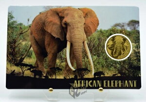 AtJ]E - AtJ̃rbOt@Cu 1/1000IX 999 3000t `h