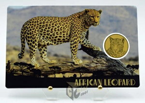 AtJqE - AtJ̃rbOt@Cu 1/1000IX 999 3000t `h