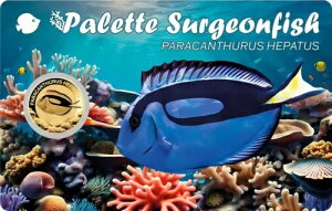 T[WtBbV 1/1000IX  3000t `h 2024