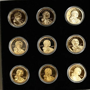 2000-2008-S 1�h�� �v���[�t �l�C�e�B�u�A�����J�� �T�J�K�E�B�A �S�[���f���h�� 9���Z�b�g