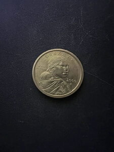 2000N P TJKEBA 1h AJȐ_A_uAS[hg[J[IӒ