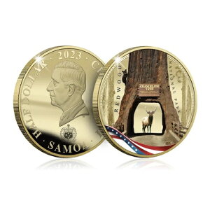 AJEpgIbgES[hRCEV[Y AJ̖Ɩ - bhEbh