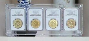 4ObhANfBXvCt[V[P[X[{bNXNGC / PCGSS[hC[OZbgp