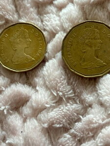 1987�N�J�i�_1�h���d�݃u�����Y�G���U�x�X2���������T�C�Y26mm