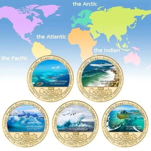 5 �̊C�m x5 �����b�L �R�C�� �{�b�N�X �Z�b�g - �����m�A�k�ɁA�吼�m�Ȃ�!