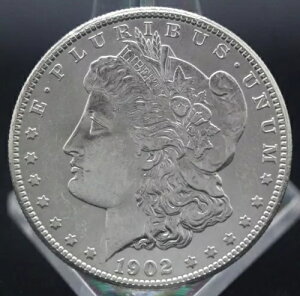 1902 0 ɍO[h̃K Vo[ h tXeB `CX 