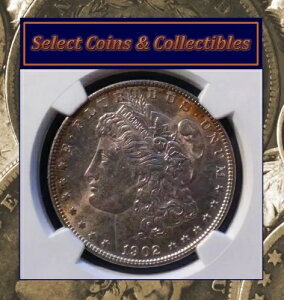 1902-O �����K����� - NGC MS 64 �G�b�W�g�[�� �u���U�[�IPQ�R�C���I #1264
