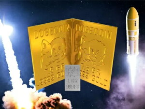 o[ 1O DogeCoin n M .9999 vXVo[ Now T