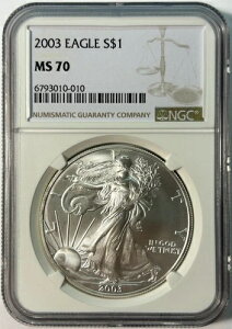 2003�N�A�����J���V���o�[�C�[�O�� - NGC MS70 �u���E�����x���A�ŏ����̃X�|�b�e�B���O