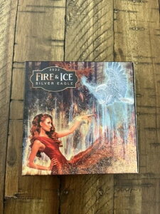 2022N AJC[O Vo[ t@CA[ACXGfBV  ?/300 ViJ