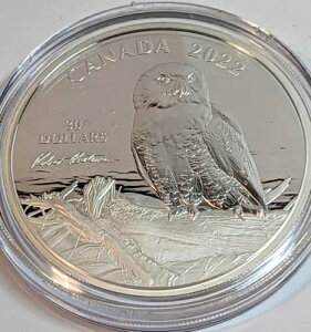 2022NJi_ 2IX  30h ؂ɂƂ܂VtNE o[gExCg}А 4500????