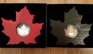 2015 2016 20h  Ji_Y[v[tJ[ (2)