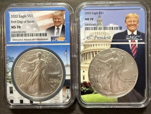 2022N2023N 1h݃AJC[O NGC MS70 gvRA [|bvgbv iCXA