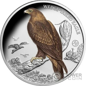 IiKV I[XgA̒ 1IX  1h jEG 2025N